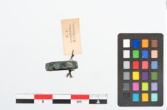Foto von Bronzering (NHMW-PRAE-025743)